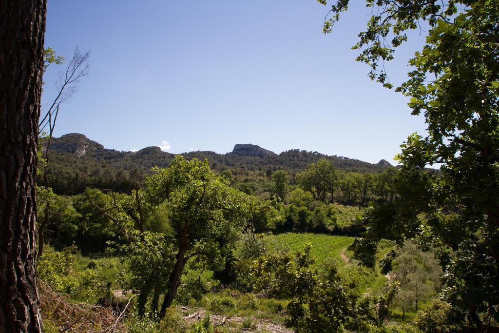 Les Residences De Metifiot Saint-Rémy-de-Provence Zewnętrze zdjęcie
